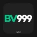 BV999 Game